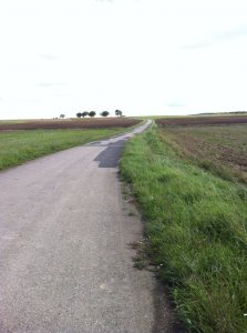 10422159_10201674960674784_4487543108667278907_n