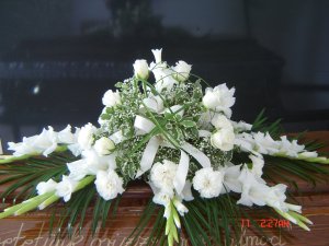 koporso_disz_202519_23136