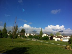 IMG_8161