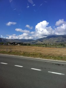 IMG_8194