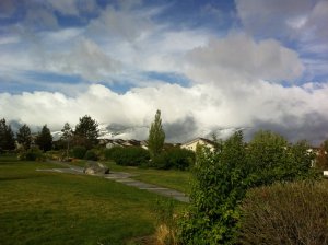 IMG_8273