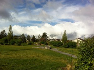 IMG_8274
