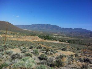IMG_8729