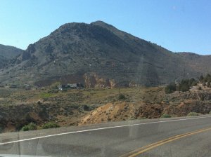 IMG_8782