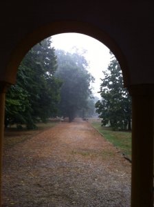 11745430_10203233021225324_8405720239674717848_n