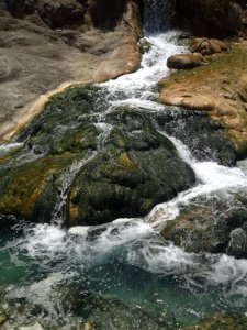 1017323_10200941436611369_1924267121_n