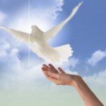 148313_667890912_small