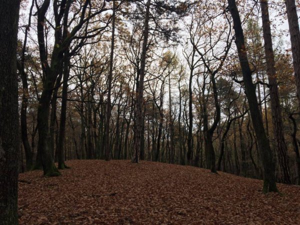 15032447_1215489431844238_1481682435_n